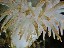 portherdy12010-16-809047727-O